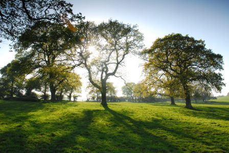 Landscape in the Lincolnshire Wolds in South Elkington near Louth