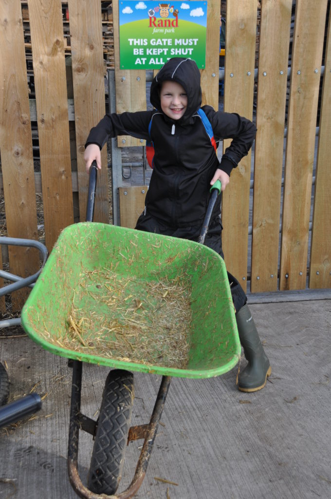 Young patients on a visit to Rand Farm Park - United Lincolnshire Hospitals